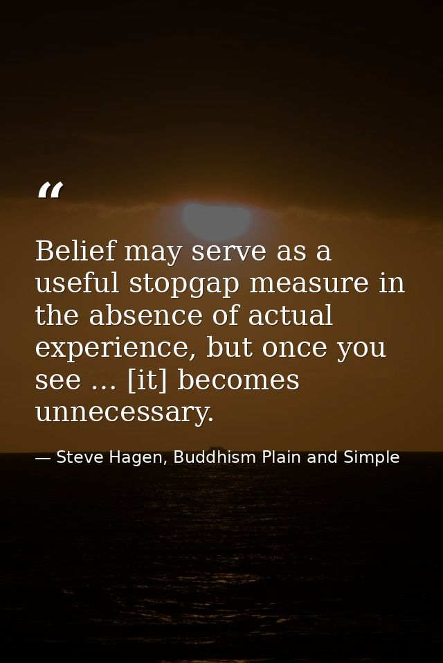 Belief may serve as a useful stopgap measure in the absence of actual experience, but once you see … [it] becomes unnece — Steve Hagen, Buddhism Plain and Simple