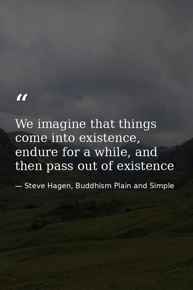 We imagine that things come into existence, endure for a while, and then pass out of existence — Steve Hagen, Buddhism Plain and Simple