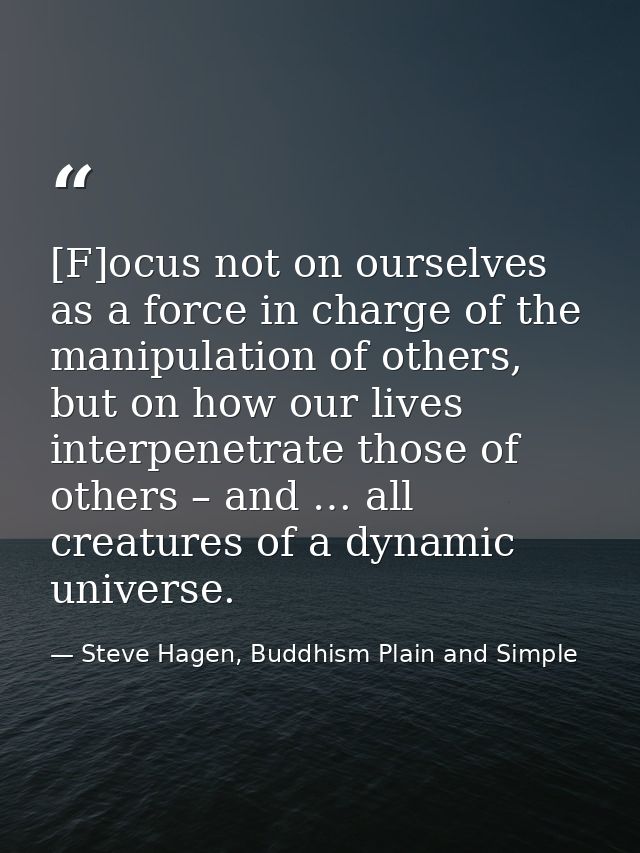 [F]ocus not on ourselves as a force in charge of the manipulation of others, but on how our lives interpenetrate those o — Steve Hagen, Buddhism Plain and Simple