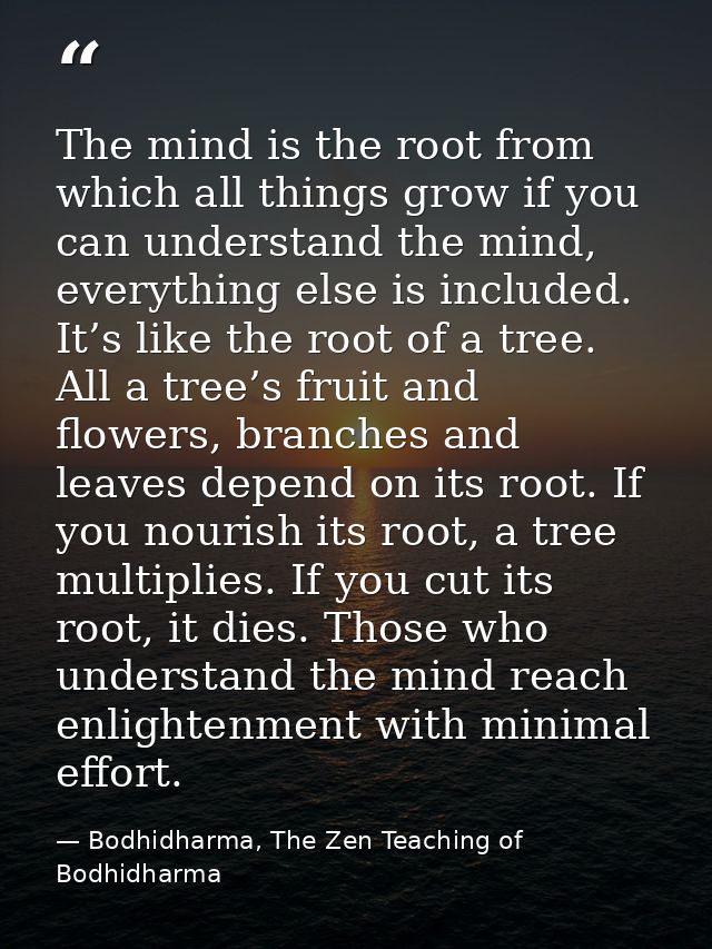 The mind is the root from which all things grow if you can understand the mind, everything else is included. It’s like t — Bodhidharma, The Zen Teaching of Bodhidharma