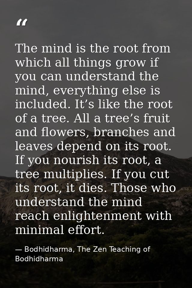 The mind is the root from which all things grow if you can understand the mind, everything else is included. It’s like t — Bodhidharma, The Zen Teaching of Bodhidharma