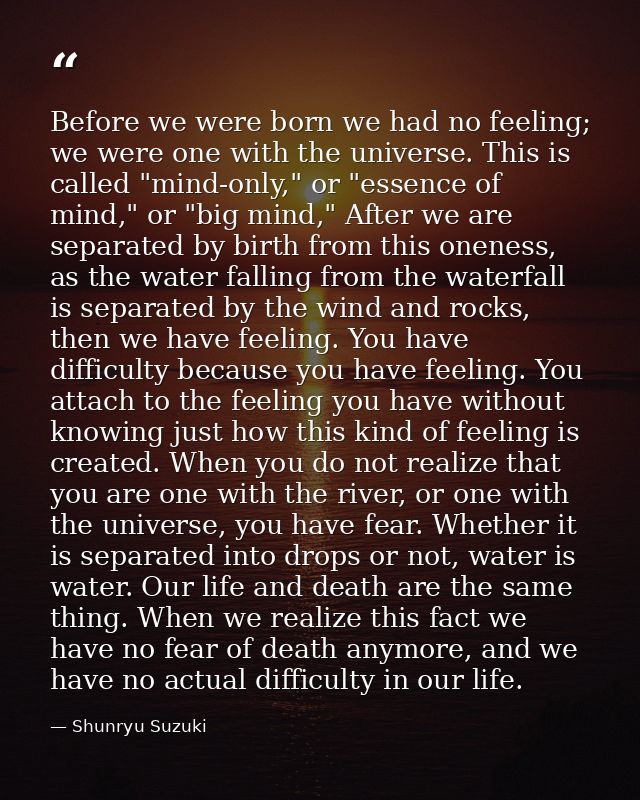 Before we were born we had no feeling; we were one with the universe. This is called "mind-only," or "essence of mind,"  — Shunryu Suzuki