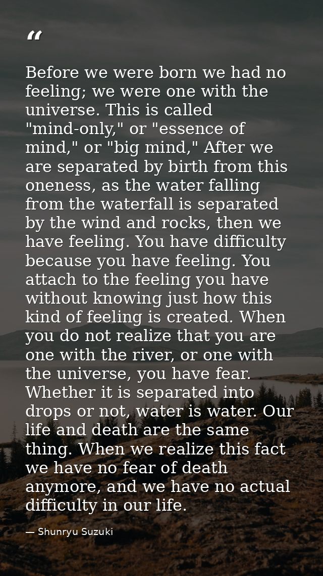 Before we were born we had no feeling; we were one with the universe. This is called "mind-only," or "essence of mind,"  — Shunryu Suzuki