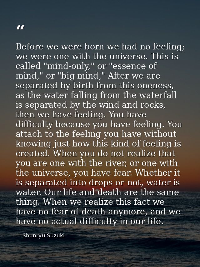 Before we were born we had no feeling; we were one with the universe. This is called "mind-only," or "essence of mind,"  — Shunryu Suzuki