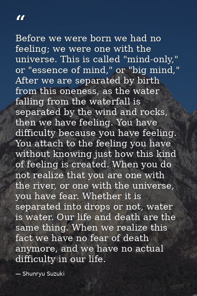 Before we were born we had no feeling; we were one with the universe. This is called "mind-only," or "essence of mind,"  — Shunryu Suzuki