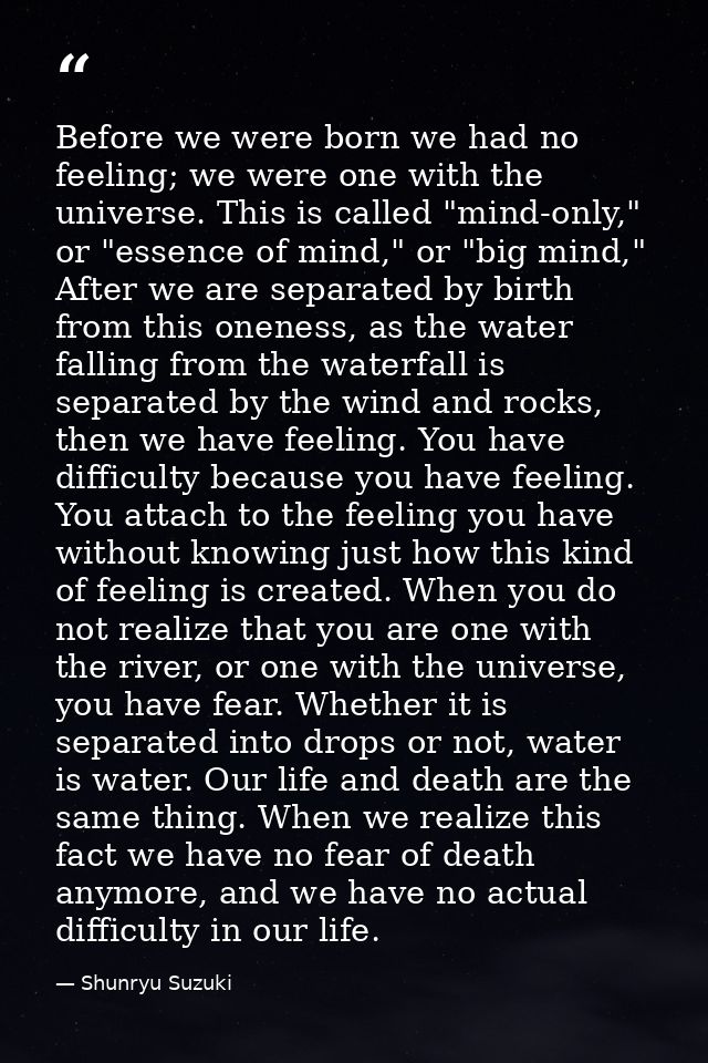Before we were born we had no feeling; we were one with the universe. This is called "mind-only," or "essence of mind,"  — Shunryu Suzuki