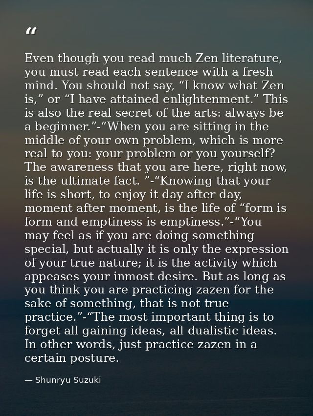 Even though you read much Zen literature, you must read each sentence with a fresh mind. You should not say, “I know wha — Shunryu Suzuki
