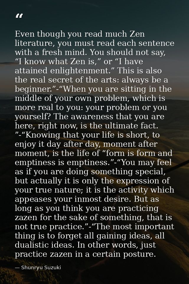 Even though you read much Zen literature, you must read each sentence with a fresh mind. You should not say, “I know wha — Shunryu Suzuki