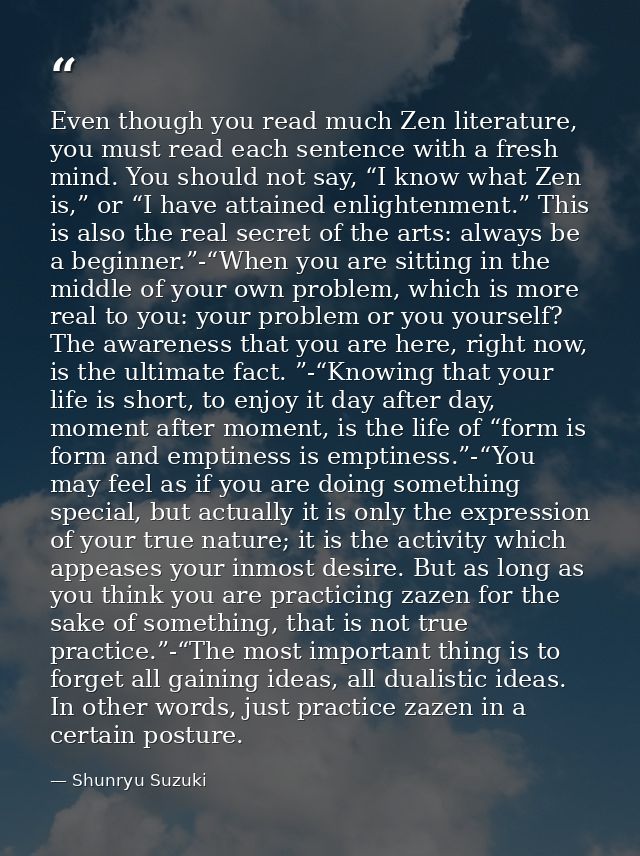 Even though you read much Zen literature, you must read each sentence with a fresh mind. You should not say, “I know wha — Shunryu Suzuki