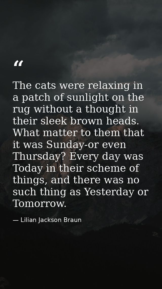 The cats were relaxing in a patch of sunlight on the rug without a thought in their sleek brown heads. What matter to th — Lilian Jackson Braun