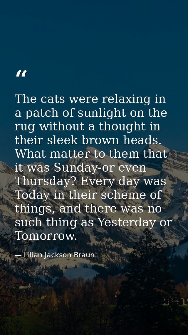 The cats were relaxing in a patch of sunlight on the rug without a thought in their sleek brown heads. What matter to th — Lilian Jackson Braun