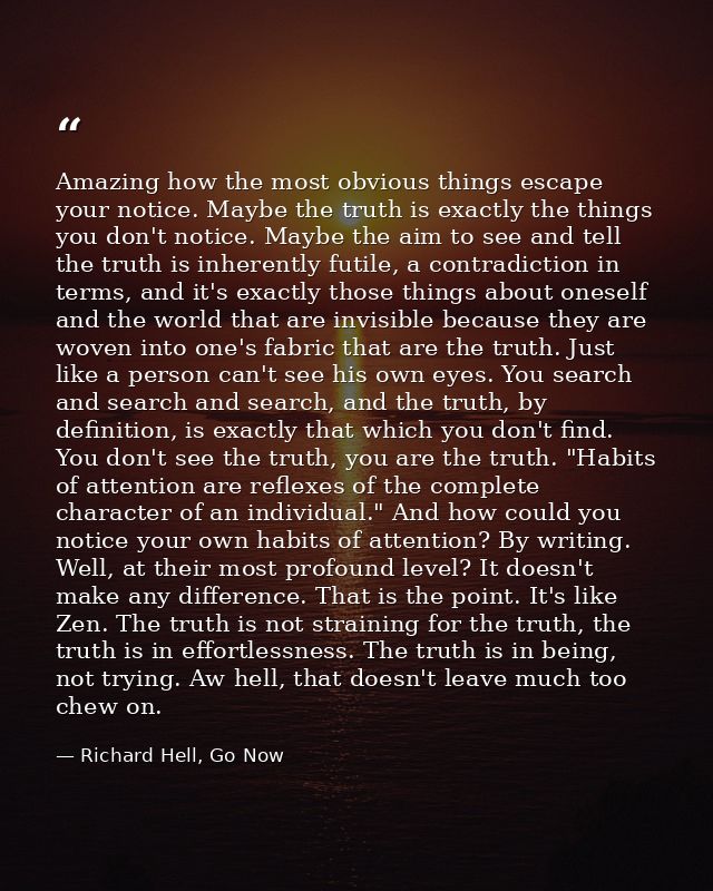 Amazing how the most obvious things escape your notice. Maybe the truth is exactly the things you don't notice. Maybe th — Richard Hell, Go Now