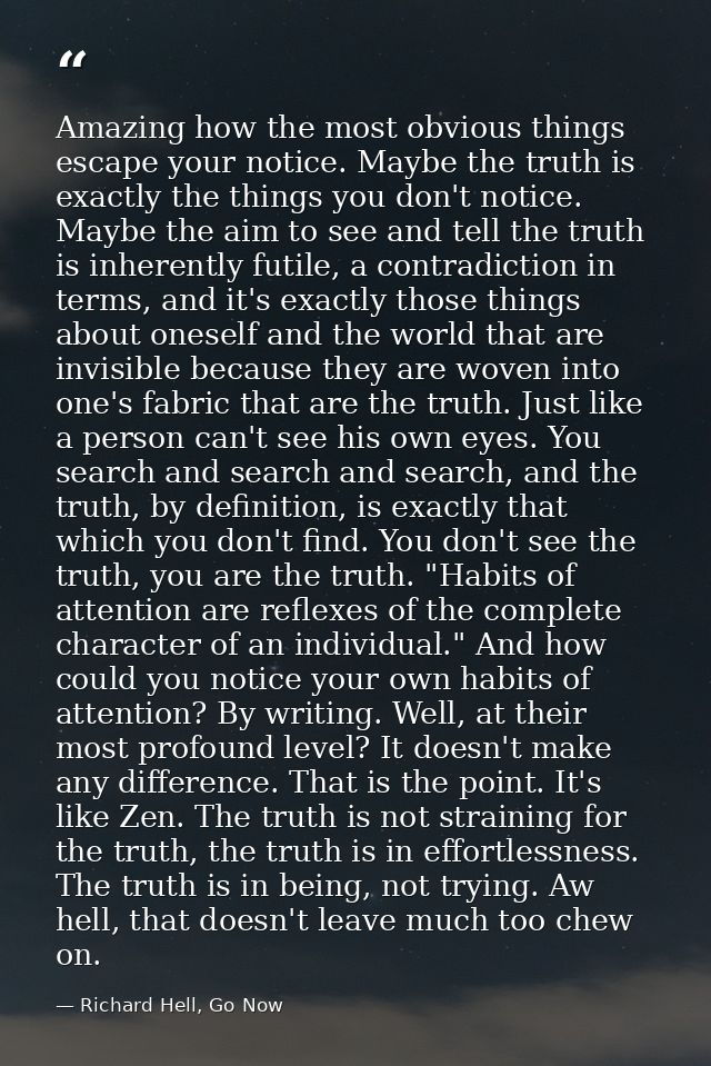 Amazing how the most obvious things escape your notice. Maybe the truth is exactly the things you don't notice. Maybe th — Richard Hell, Go Now