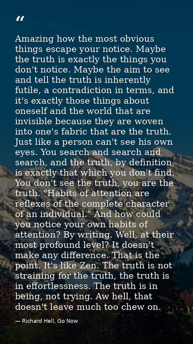 Amazing how the most obvious things escape your notice. Maybe the truth is exactly the things you don't notice. Maybe th — Richard Hell, Go Now