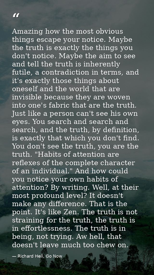 Amazing how the most obvious things escape your notice. Maybe the truth is exactly the things you don't notice. Maybe th — Richard Hell, Go Now