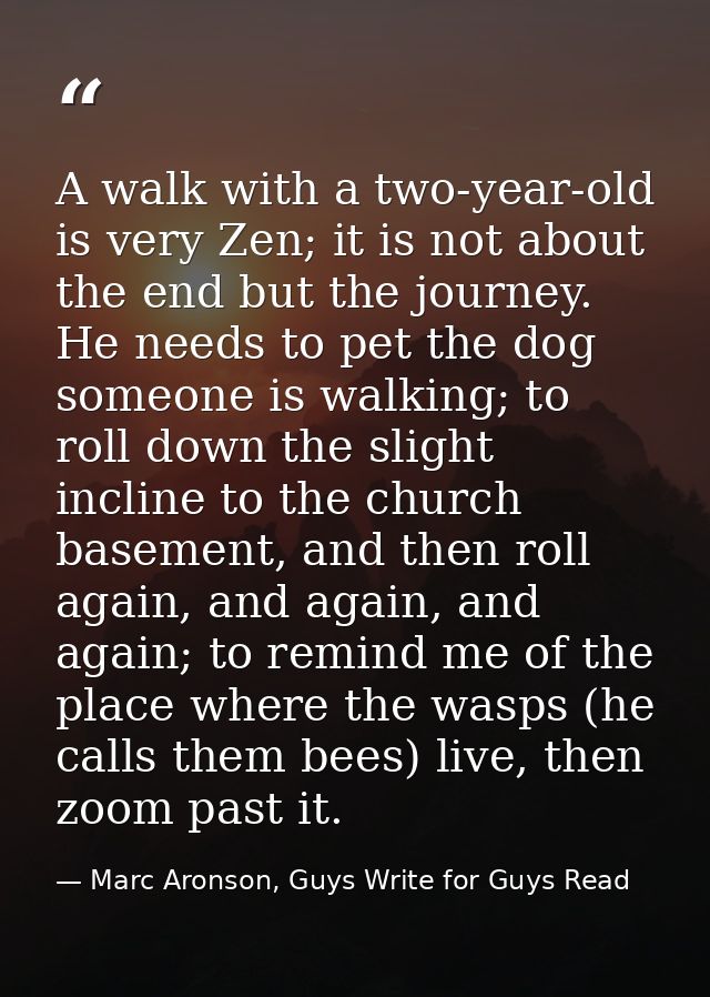 A walk with a two-year-old is very Zen; it is not about the end but the journey. He needs to pet the dog someone is walk — Marc Aronson, Guys Write for Guys Read