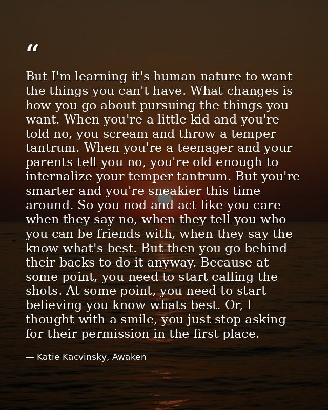 But I'm learning it's human nature to want the things you can't have. What changes is how you go about pursuing the thin — Katie Kacvinsky, Awaken