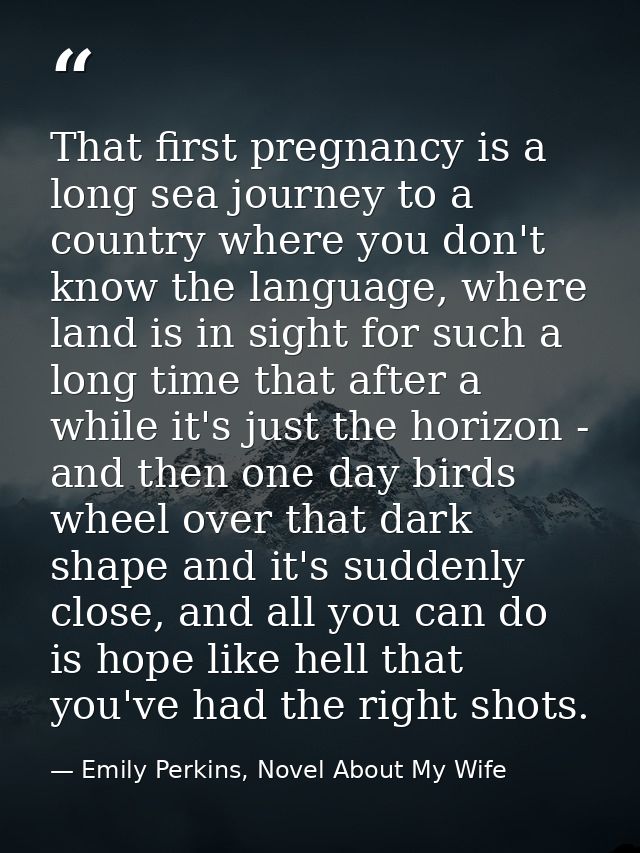 That first pregnancy is a long sea journey to a country where you don't know the language, where land is in sight for su — Emily Perkins, Novel About My Wife