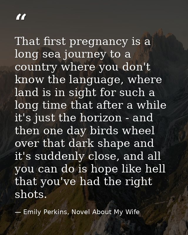 That first pregnancy is a long sea journey to a country where you don't know the language, where land is in sight for su — Emily Perkins, Novel About My Wife