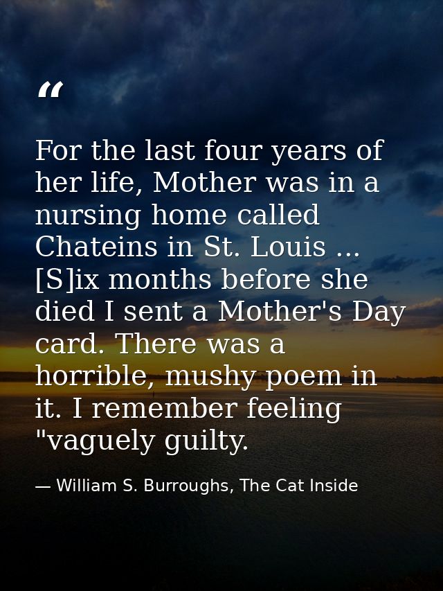 For the last four years of her life, Mother was in a nursing home called Chateins in St. Louis ... [S]ix months before s — William S. Burroughs, The Cat Inside