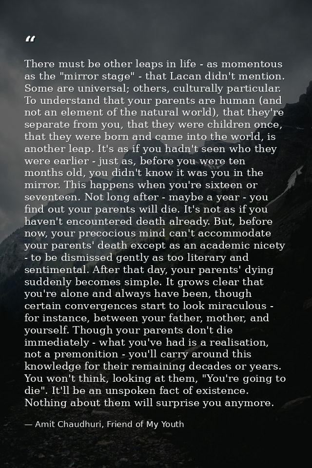 There must be other leaps in life - as momentous as the "mirror stage" - that Lacan didn't mention. Some are universal;  — Amit Chaudhuri, Friend of My Youth