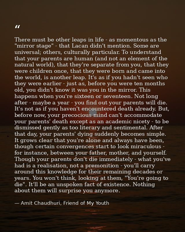 There must be other leaps in life - as momentous as the "mirror stage" - that Lacan didn't mention. Some are universal;  — Amit Chaudhuri, Friend of My Youth