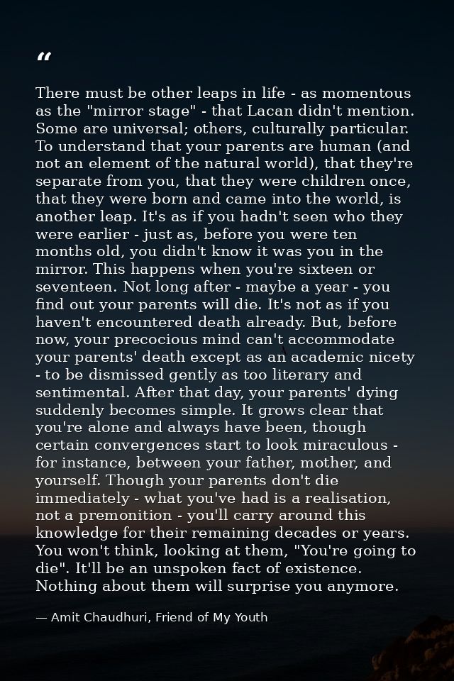 There must be other leaps in life - as momentous as the "mirror stage" - that Lacan didn't mention. Some are universal;  — Amit Chaudhuri, Friend of My Youth