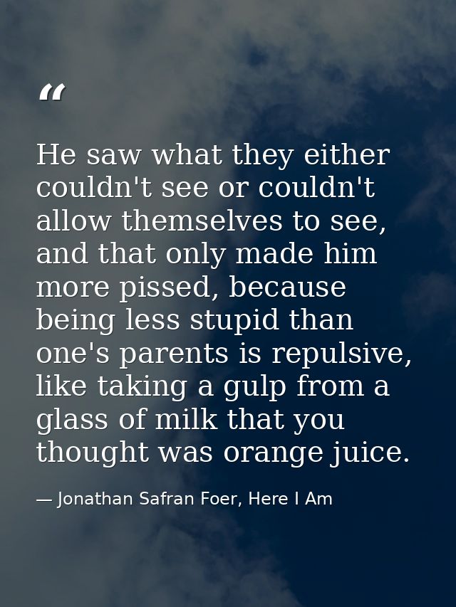 He saw what they either couldn't see or couldn't allow themselves to see, and that only made him more pissed, because be — Jonathan Safran Foer, Here I Am