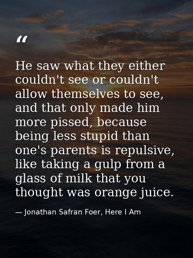 He saw what they either couldn't see or couldn't allow themselves to see, and that only made him more pissed, because be — Jonathan Safran Foer, Here I Am