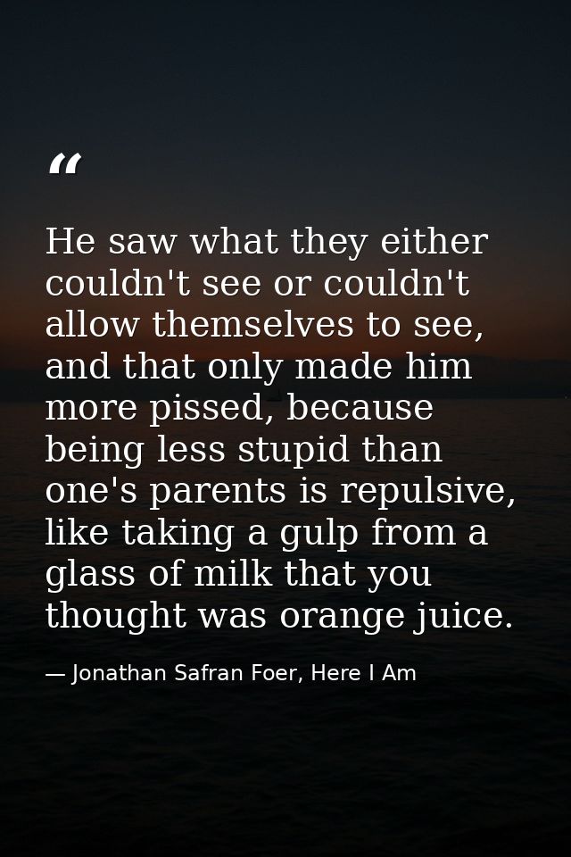 He saw what they either couldn't see or couldn't allow themselves to see, and that only made him more pissed, because be — Jonathan Safran Foer, Here I Am