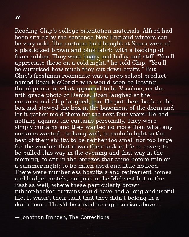 Reading Chip's college orientation materials, Alfred had been struck by the sentence New England winters can be very col — Jonathan Franzen, The Corrections