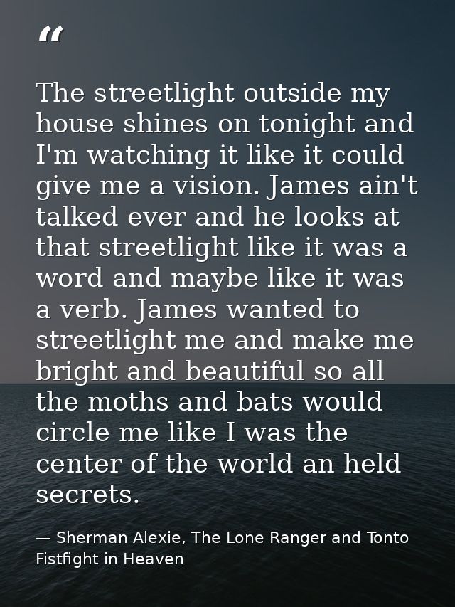 The streetlight outside my house shines on tonight and I'm watching it like it could give me a vision. James ain't talke — Sherman Alexie, The Lone Ranger and Tonto Fistfight in Heaven