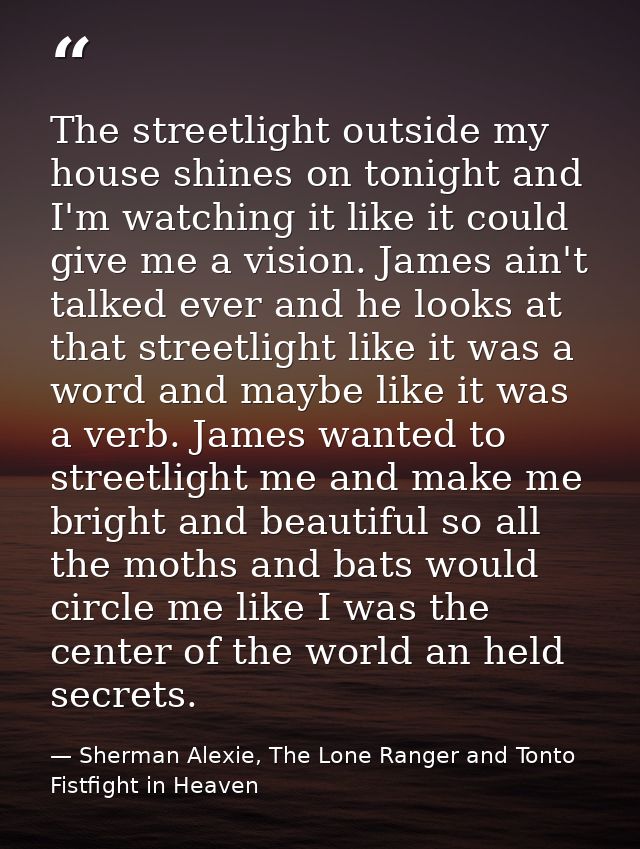 The streetlight outside my house shines on tonight and I'm watching it like it could give me a vision. James ain't talke — Sherman Alexie, The Lone Ranger and Tonto Fistfight in Heaven