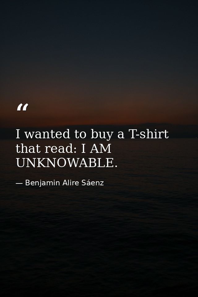 I wanted to buy a T-shirt that read: I AM UNKNOWABLE. — Benjamin Alire Sáenz