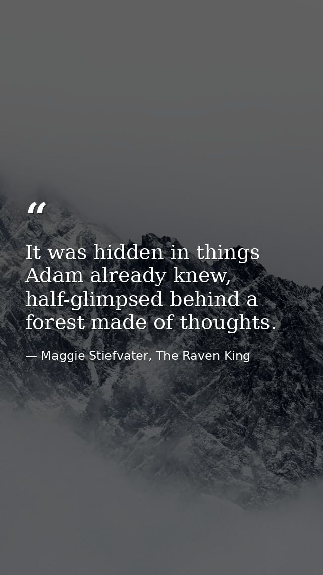 It was hidden in things Adam already knew, half-glimpsed behind a forest made of thoughts. — Maggie Stiefvater, The Raven King