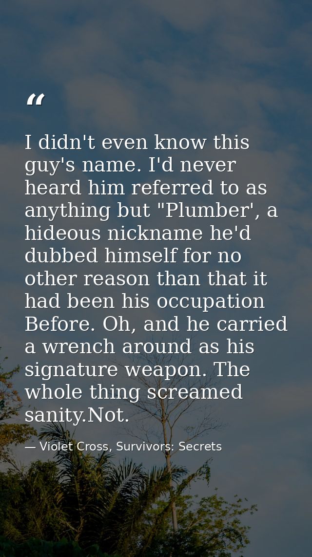 I didn't even know this guy's name. I'd never heard him referred to as anything but "Plumber', a hideous nickname he'd d — Violet Cross, Survivors: Secrets