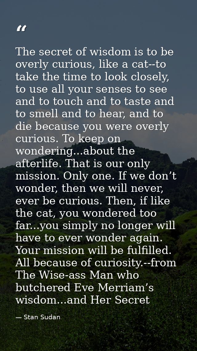 The secret of wisdom is to be overly curious, like a cat--to take the time to look closely, to use all your senses to se — Stan Sudan