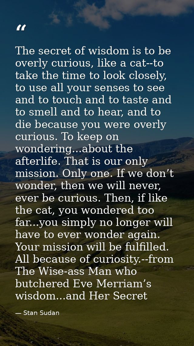 The secret of wisdom is to be overly curious, like a cat--to take the time to look closely, to use all your senses to se — Stan Sudan