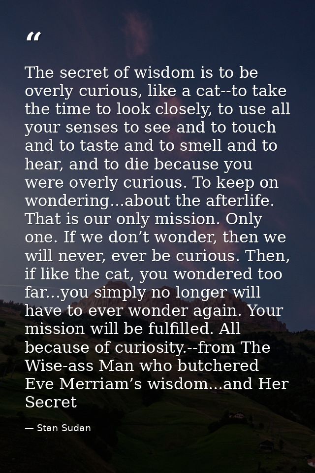 The secret of wisdom is to be overly curious, like a cat--to take the time to look closely, to use all your senses to se — Stan Sudan