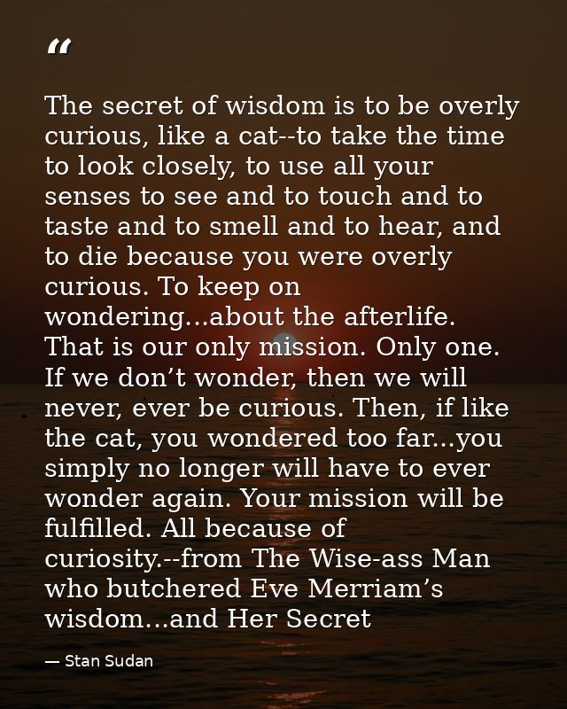 The secret of wisdom is to be overly curious, like a cat--to take the time to look closely, to use all your senses to se — Stan Sudan