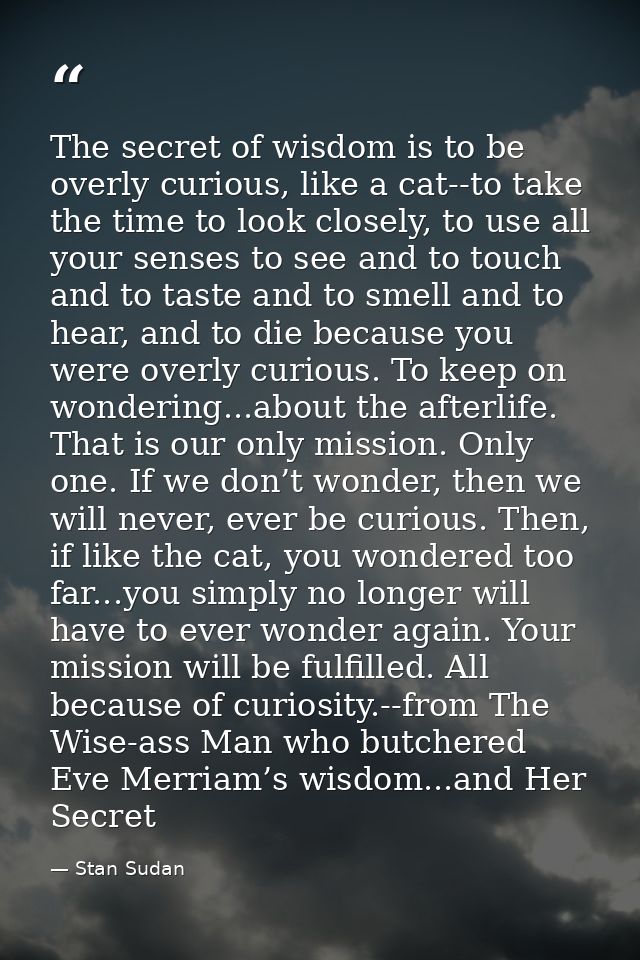 The secret of wisdom is to be overly curious, like a cat--to take the time to look closely, to use all your senses to se — Stan Sudan