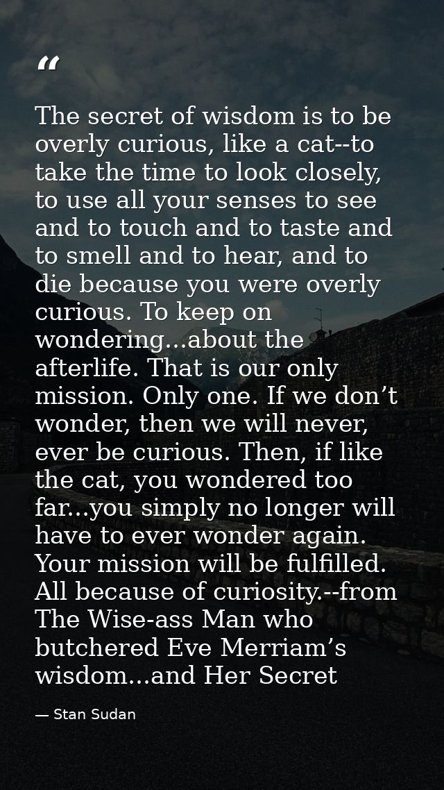 The secret of wisdom is to be overly curious, like a cat--to take the time to look closely, to use all your senses to se — Stan Sudan