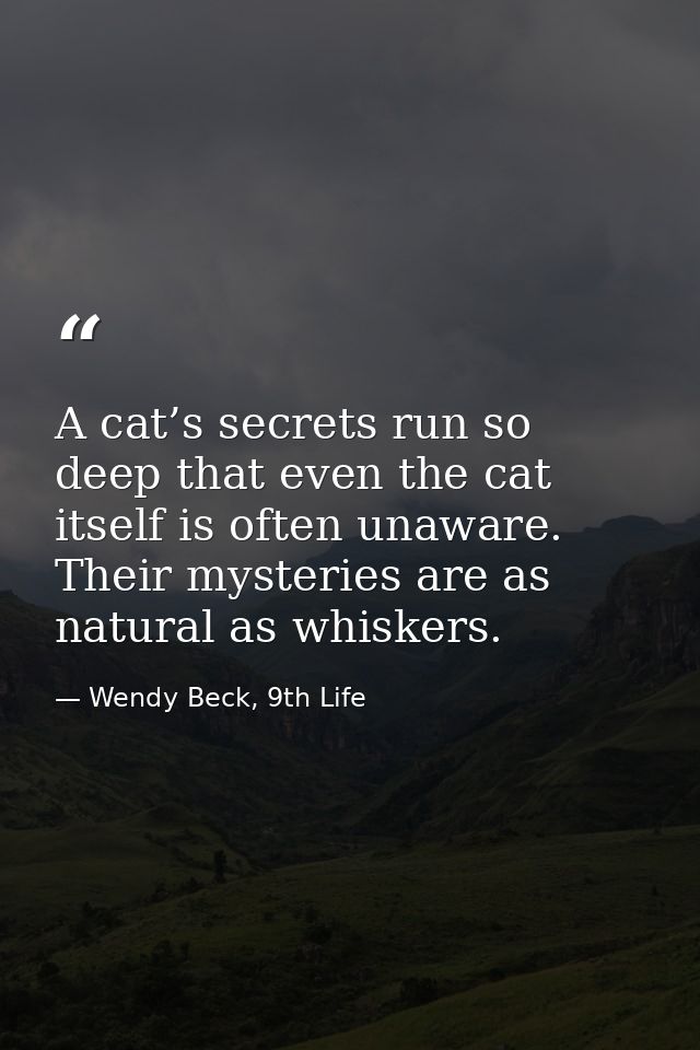 A cat’s secrets run so deep that even the cat itself is often unaware. Their mysteries are as natural as whiskers. — Wendy Beck, 9th Life