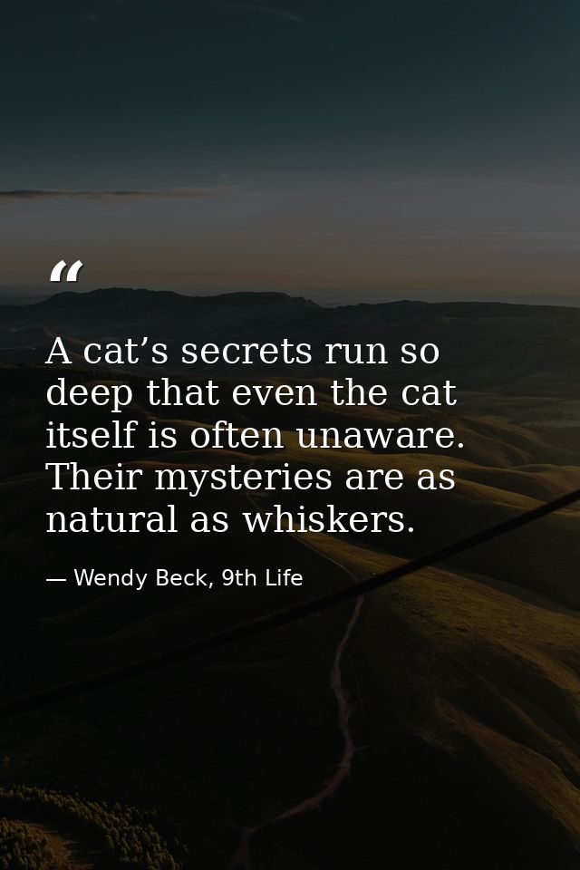 A cat’s secrets run so deep that even the cat itself is often unaware. Their mysteries are as natural as whiskers. — Wendy Beck, 9th Life