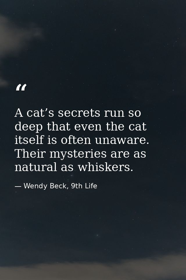 A cat’s secrets run so deep that even the cat itself is often unaware. Their mysteries are as natural as whiskers. — Wendy Beck, 9th Life