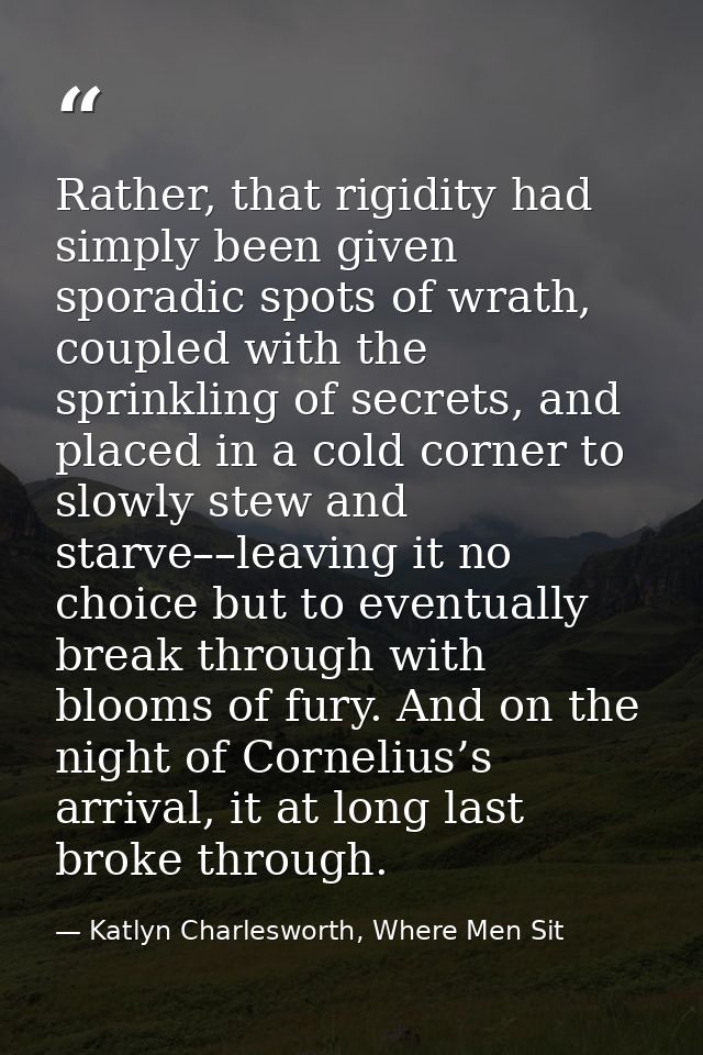 Rather, that rigidity had simply been given sporadic spots of wrath, coupled with the sprinkling of secrets, and placed  — Katlyn Charlesworth, Where Men Sit