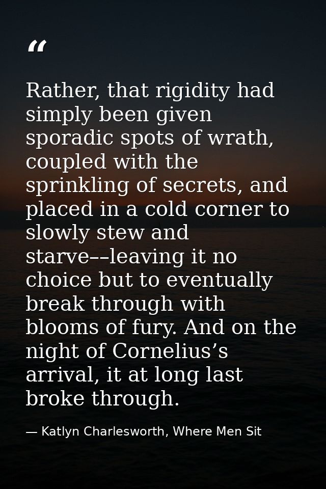 Rather, that rigidity had simply been given sporadic spots of wrath, coupled with the sprinkling of secrets, and placed  — Katlyn Charlesworth, Where Men Sit