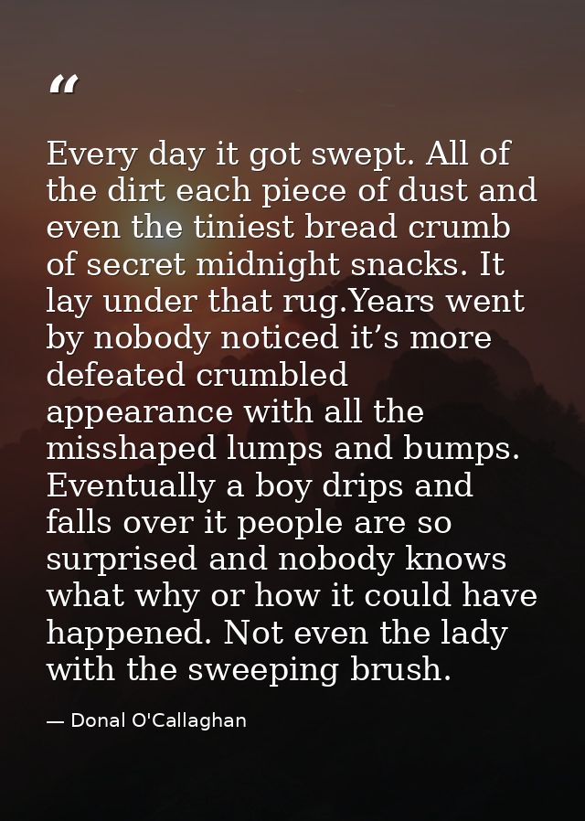 Every day it got swept. All of the dirt each piece of dust and even the tiniest bread crumb of secret midnight snacks. I — Donal O'Callaghan