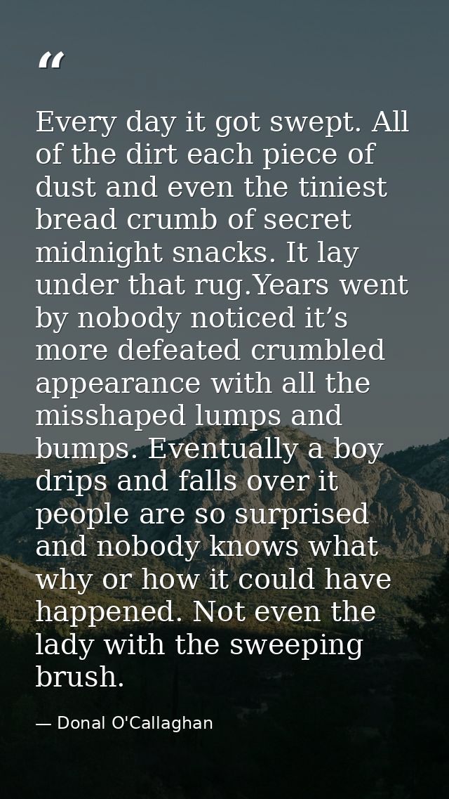 Every day it got swept. All of the dirt each piece of dust and even the tiniest bread crumb of secret midnight snacks. I — Donal O'Callaghan