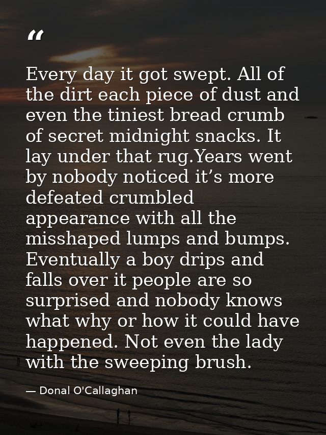 Every day it got swept. All of the dirt each piece of dust and even the tiniest bread crumb of secret midnight snacks. I — Donal O'Callaghan